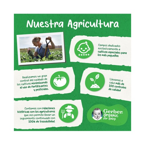 GERBER Organic Bolsita (pouch) de fruta, ecológica (fresa y plátano) para bebés a partir 6 meses.