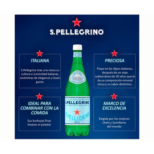 SAN PELLEGRINO  Agua con gas 750 ml.