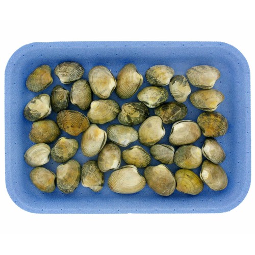 Almejas japónicas 90/120 malla de 1 kg
