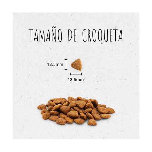Comida para perros seca de buey BEYOND GRAIN FREE 1,2 kg.