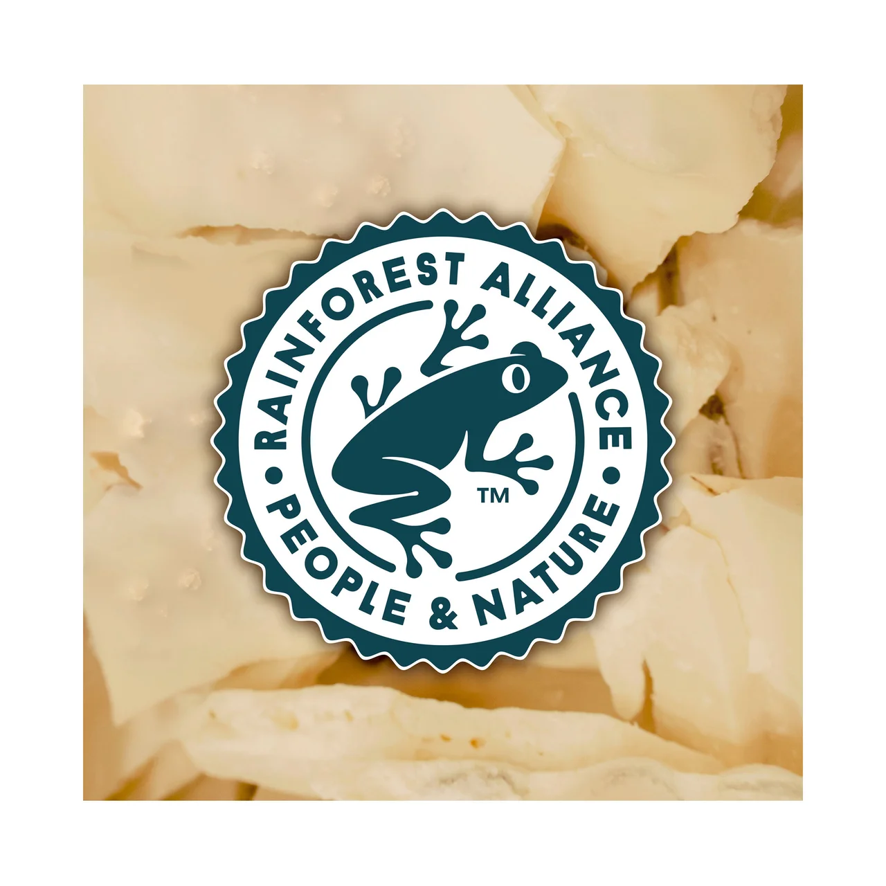 Bombón helado sabor galleta y nueces de pecán son salsa de caramelo salado 3 x 88 ml.