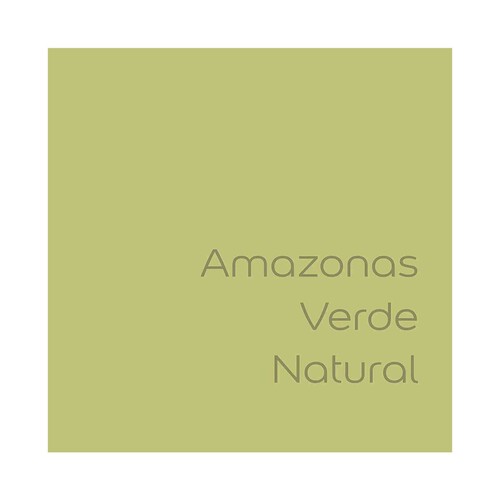 Pintura para paredes monocapa BRUGUER Colores del mundo Amazonas Verde Natural, 4L.
