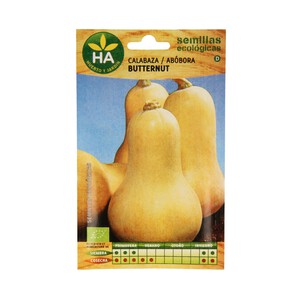 Semillas ecológicas para sembrar calabaza de la variedad Butternut HA-HUERTO Y JARDÍN 4 gramos.