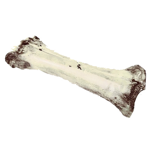 Alcampo BIOZOO MASCOTAS Hueso de calcio natural para perros 1 ud