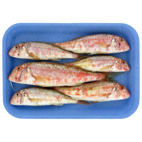 Salmonetes