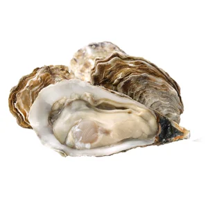 Ostras Premium Galicia bandeja de 12 uds.