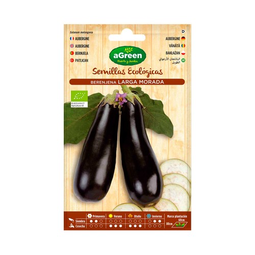 Semillas ecológicas para sembrar berenjenas de la variedad larga morada HA-HUERTO Y JARDÍN 0.18 gramos.
