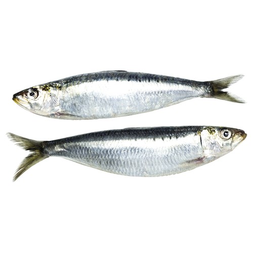 Sardina elaborada