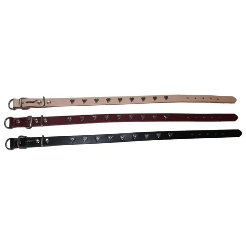 PRODUCTO ALCAMPO Collar (2 cm) de cuero y metal, de color rojo, para perros M - L (40 - 48 cm).