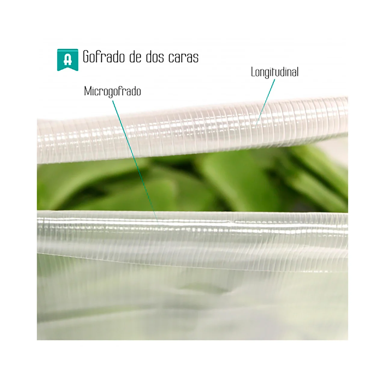 Pack de 50 bolsas de envasado, 15x24 cm