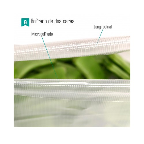 Pack de 50 bolsas de envasado ALFA, 15x24 cm