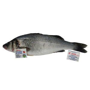 Imagen de ALCAMPO CULTIVAMOS LO BUENO Lubina de estero mediana