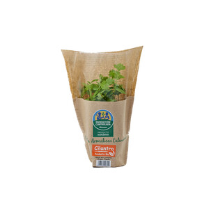 Cilantro ecológico ALCAMPO PRODUCCIÓN CONTROLADA ECOLÓGICO maceta.