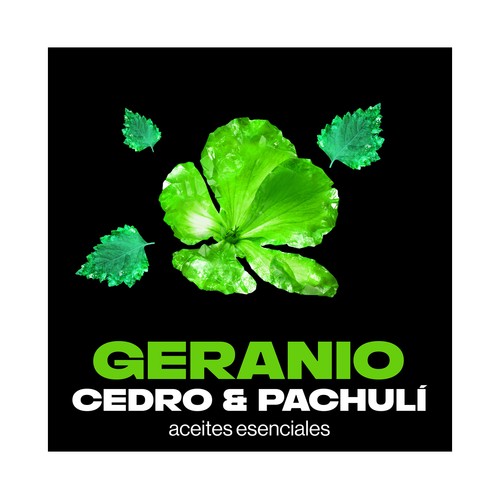 AXE Emerald geranium Desodorante en spray para hombre 150 ml.