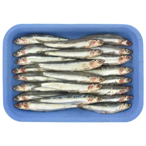 Boquerón grande