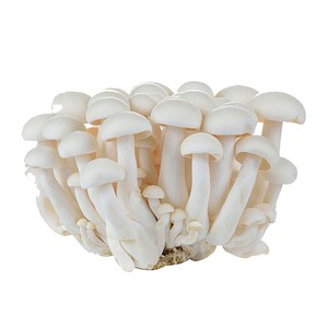 Shimeji blanco bandeja 150 g.