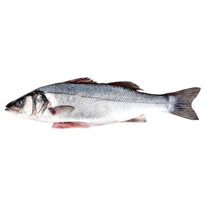 Lubina limpia eviscerada