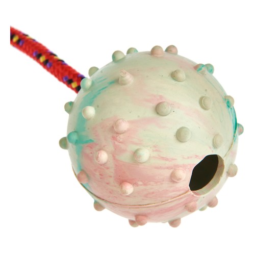 PRODUCTO ALCAMPO Juguete bola de goma de 6.5 cm, con cordón de 45 cm.