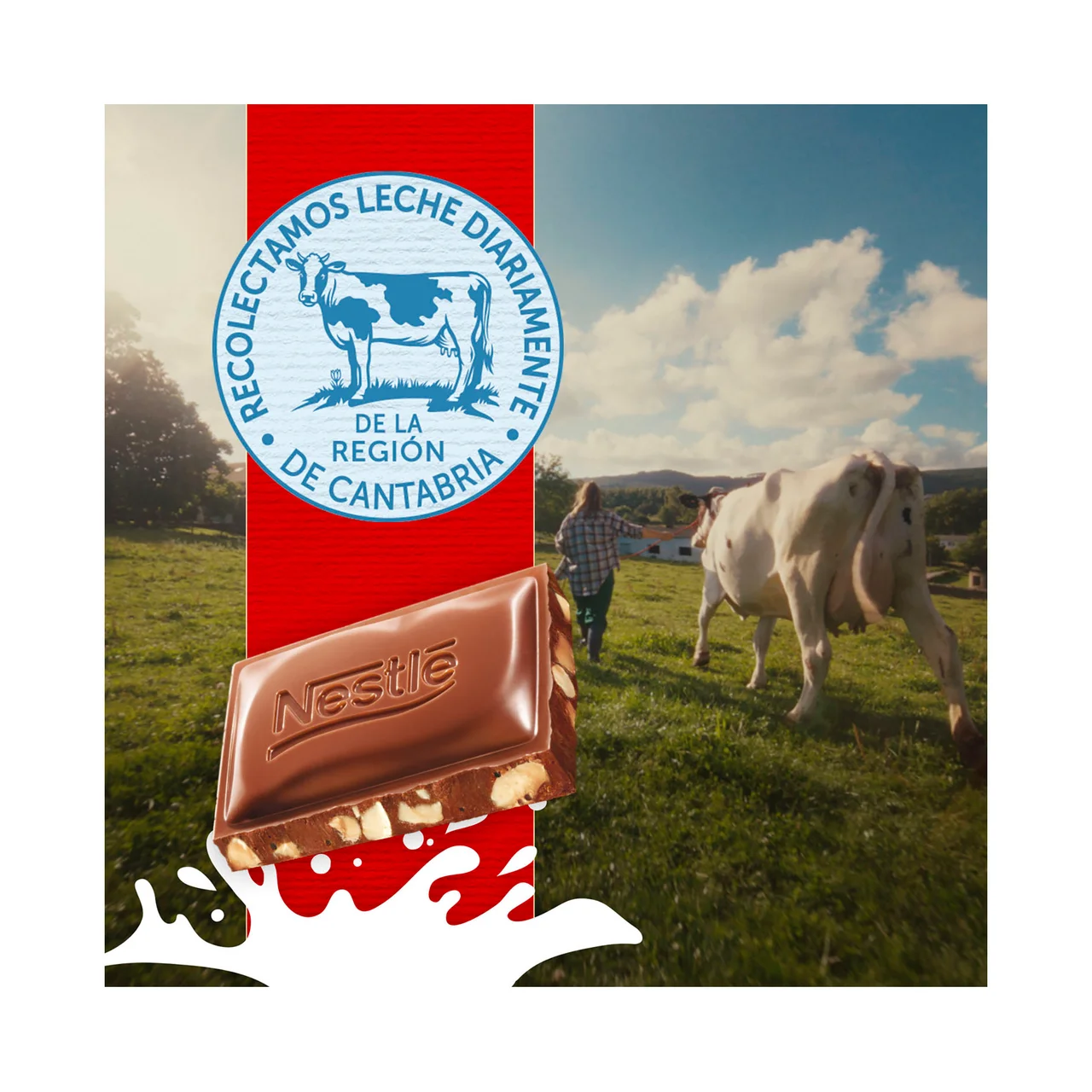 Chocolate con leche y avellanas 123 g.