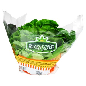 Lechuga viva 1ud.