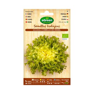 Imagen de Semillas ecológicas para sembrar escarola de la variedad cabello de angel HA-HUERTO Y JARDÍN 0.6 gramos.