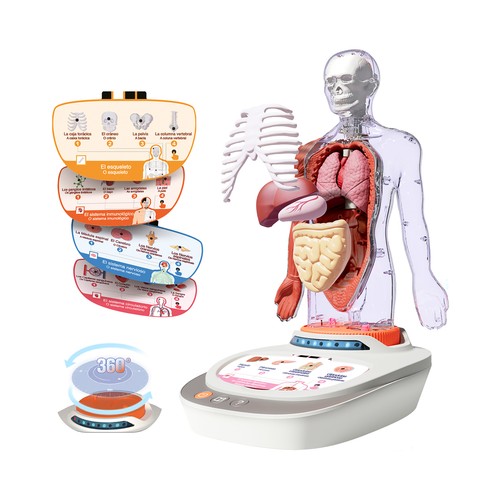 El Cuerpo Humano de 6 a 12 Años SCIENCE CAN