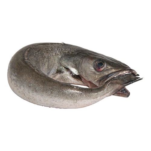 Merluza pincho mostrador de lonja local - Filetes