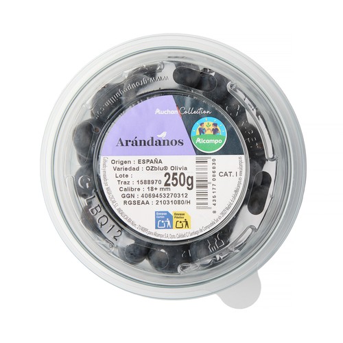 ALCAMPO CULTIVAMOS LO BUENO Arándanos calibre jumbo 250 g.