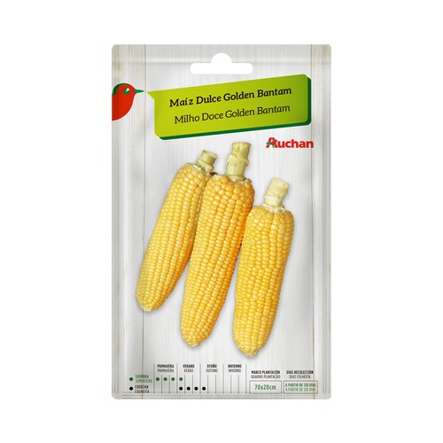 Sobre de semillas para sembrar maiz dulce de la variedad Golden Bantam PRODUCTO ALCAMPO.