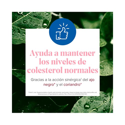 ARKOPHARMA Arkosterol plus Complemento alimenticio que ayuda a la salud cardiovascular y a reducir el colesterol 30 uds.