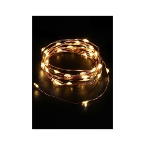 Imagen de Guirnalda de alambre cobre, a pilas, con 40 luces LED blanco cálido, ACTUEL.