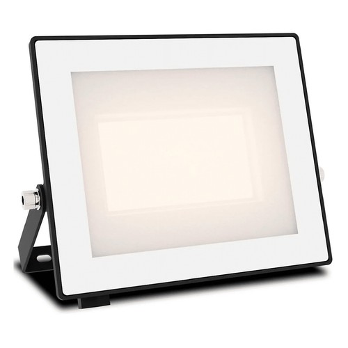 Proyector exterior 30W, luz fría IP65 LOIS PHILIPS.
