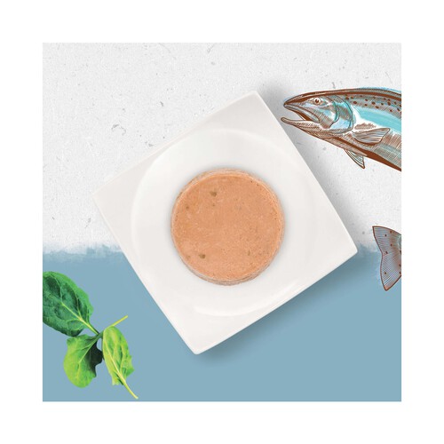 Alimento gatos húmedo sabor salmón BEYOND PURINA 85 g.