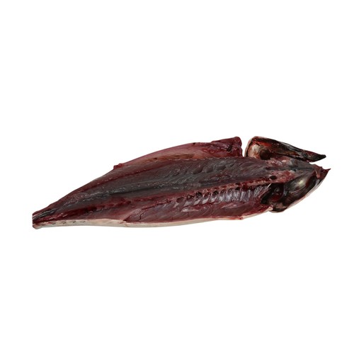 Caballa mostrador.