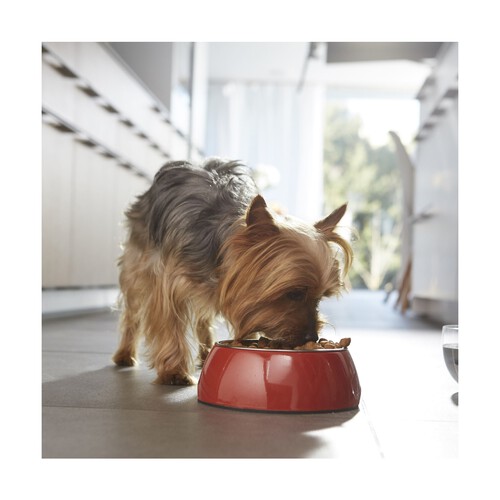 PURINA ONE Comida para perros adultos de raza pequeña a base de buey y arroz PURINA ONE MINI 1,5 kg.