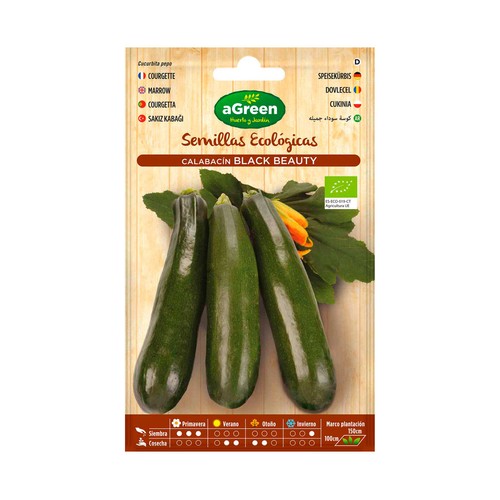 Semillas ecológicas para sembrar calabacín de la variedad belleza negra HA-HUERTO Y JARDÍN 4 gramos.