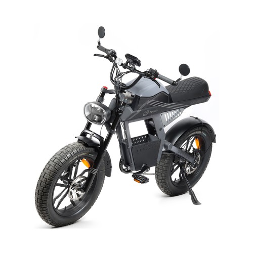 Bicicleta eléctrica E-Bike YOUIN Las Vegas, 250W, ruedas 20"", autonomía 40Km..