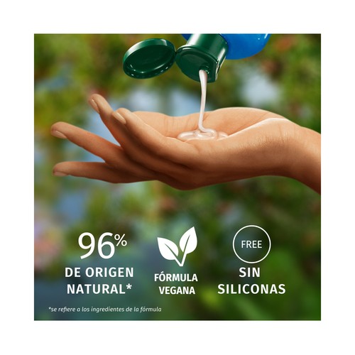 HERBAL ESSENCES Champú reparador con aceite de argán, para cabellos dañados 680 ml.