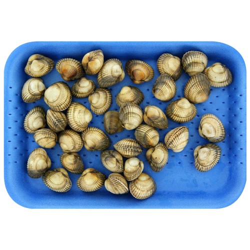 Berberechos gordos malla 500 g.