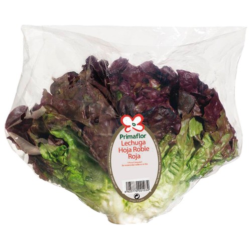 Lechuga hoja de roble roja 1 ud.