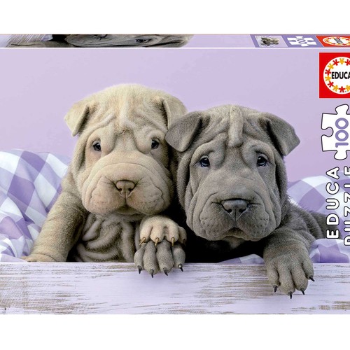 BORRAS Puzzles Junior (100-200-300 Piezas) Surtido +6 años