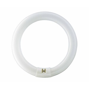 Imagen de Tubo fluorescente circular G10, 32W, 30cm, luz neutra, PHILIPS.