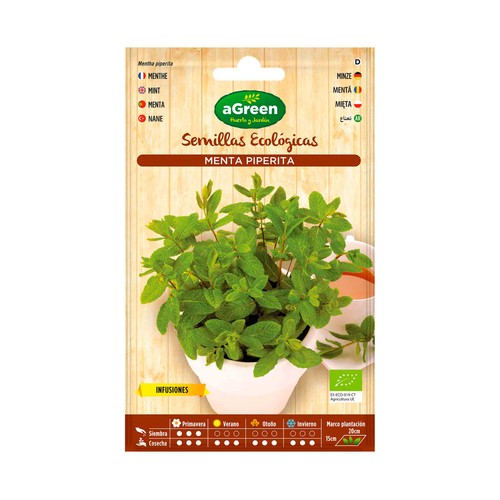 Semillas ecológicas para plantar menta HA-HUERTO Y JARDÍN 0.1 gramos.