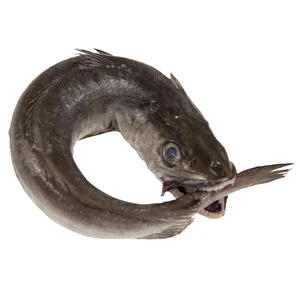 Merluza importación mostrador