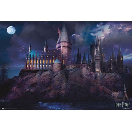 Póster Harry Potter Hogwarts 91,5x61cm, GRUPO ERIK.