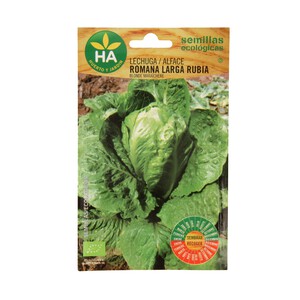 Semillas para sembrar lechugas de la variedad romana larga rubia HA-HUERTO Y JARDÍN 0.4 gramos.