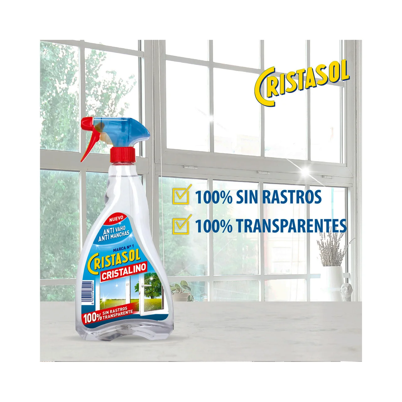 Limpiacristales de pistola 750 ml.