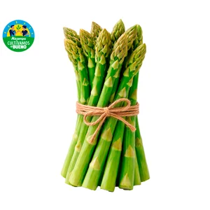 ALCAMPO CULTIVAMOS LO BUENO Espárrago verde manojo 300g.