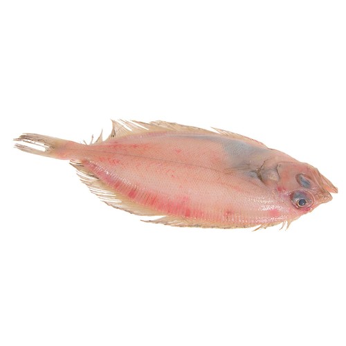 Gallitos mostrador 