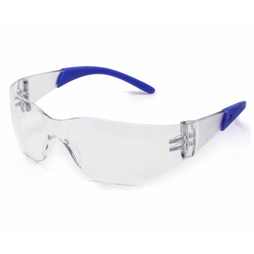 Gafas protección panorámica, BRESME.